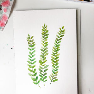 Ferns (Original)
