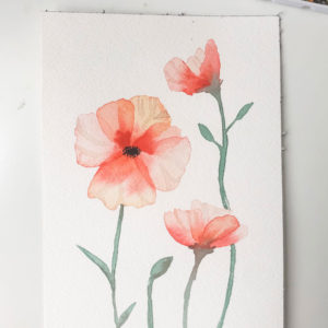 Poppies (Original)