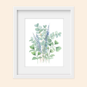 Serene Eucalyptus