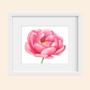 Pink Peony (Original)